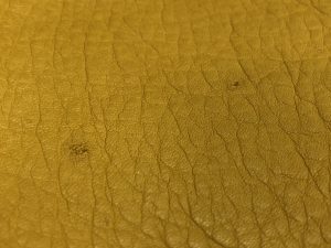Natural markings On Aniline Leather