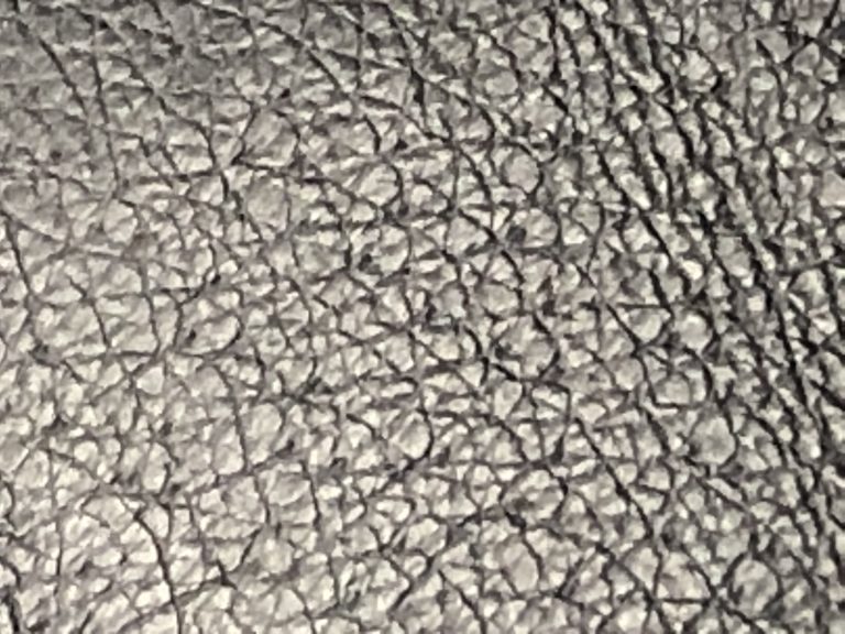 Pig Leather Skin Leather Repair Company Leather Encyclopaedia