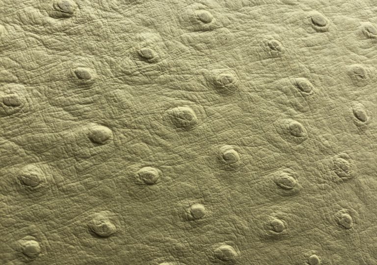 Embossed Leather - Leather Repair Company - Leather Encyclopaedia