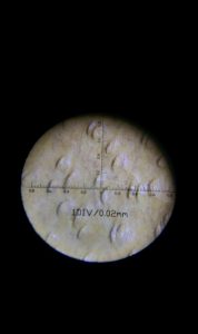 Aniline Leather Through A Microscope