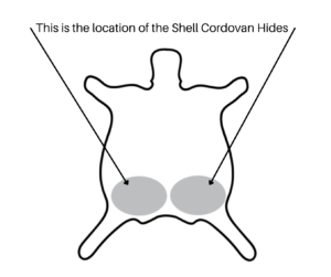 Shell Cordovan Hides