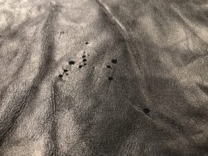 Warble Marks